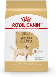 Royal Canin Labrador Retriever