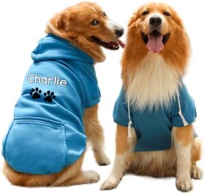 Personalized Embroidered Dog Hoodie