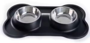 Nepfaivy Double Pet Feeder