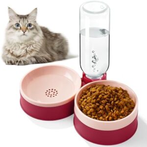 Whisker-Friendly Cat Food Bowl