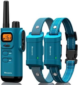 Dog Training Collar with Remote