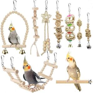 Bird Rope Perch with Bell