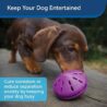 PetSafe Busy Buddy Twist 'n Treat