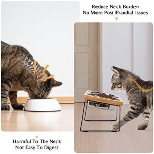 Loplurea Elevated Cat Bowls