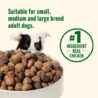 Nutrish Real Chicken & Veggies Dry Dog Food