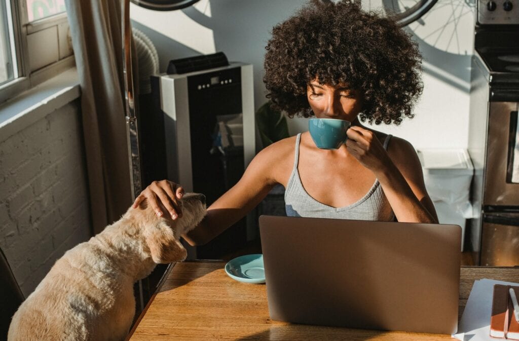 photo/african-american-female-freelancer-using-laptop-and-drinking-coffee
Pets for Busy Professionals
