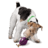 PetSafe Busy Buddy Twist