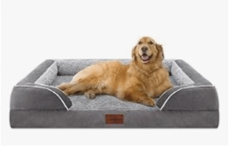 Top 5 Orthopedic Dog Beds for Large Breeds (Pawfect Picks for 2025)