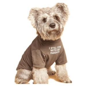 Soft Breathable Dog Shirt – Khaki T-Shirt for Small & Medium Dogs