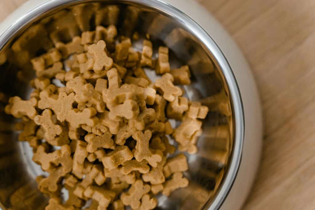 Everyday Household Dangerous to Pets