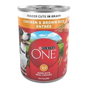 Purina ONE Tender Cuts in Wet Dog Food Gravy Chicken and Brown Rice Entree - (Pack of 12) 13 oz. Cans Pet Snack Treats