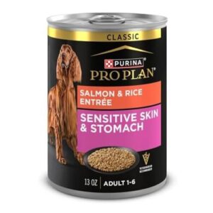 Purina Pro Plan Sensitive Skin & Stomach Wet Dog Food – Salmon & Rice Pâté, 13 oz Cans (Pack of 12)