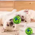 S3b8ff89d89464a21ad023806ef996178x.webp