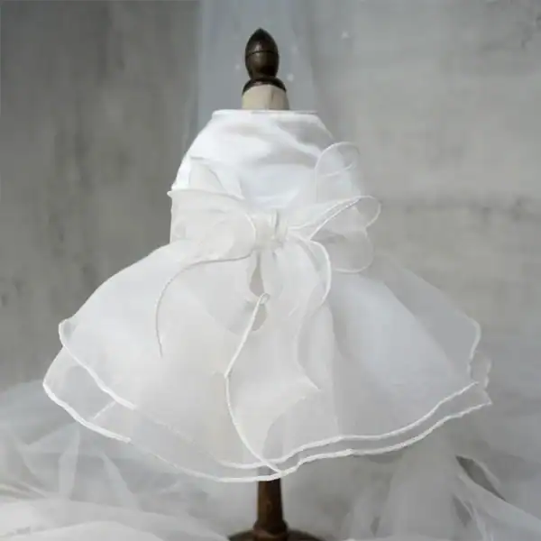 S46be64c4368f419ca47ddf3e980b1056K.webp
