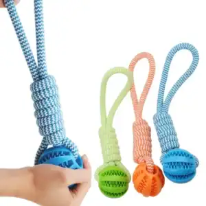 Pet Tooth Cleaning Ball – Durable Chew Toy with Rope for Dogs
