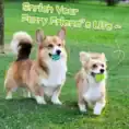 S8e32f75ff64b4316ae72fe4ecd313944X.webp