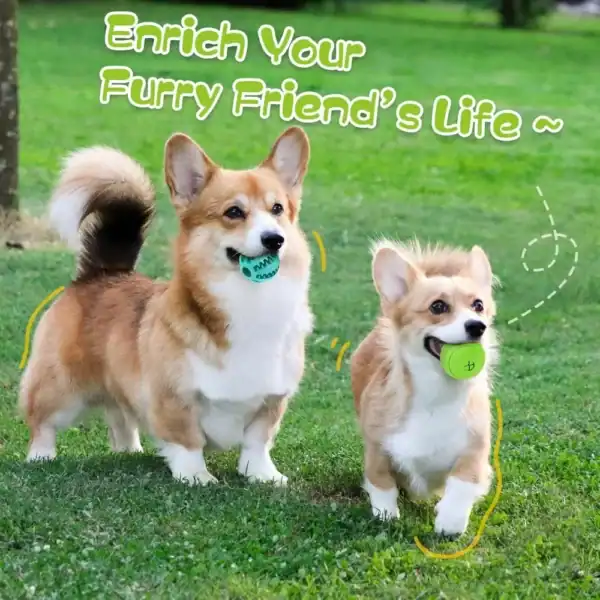 S8e32f75ff64b4316ae72fe4ecd313944X.webp