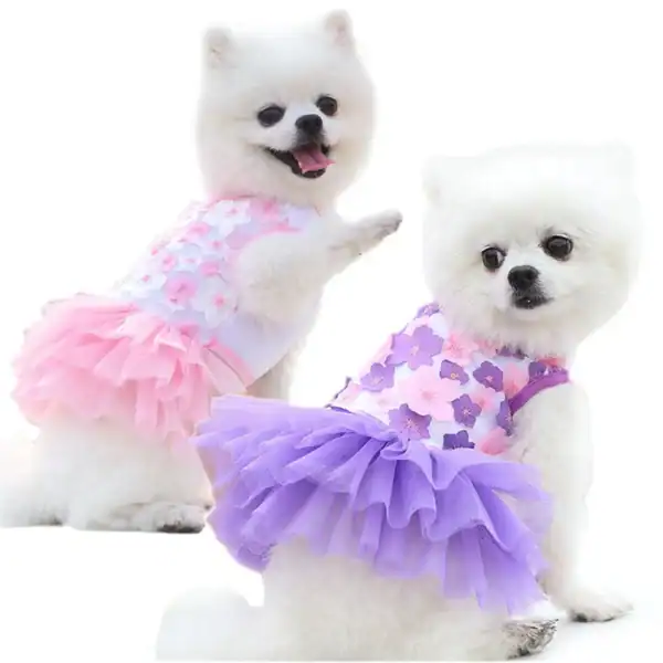 S9afa8d1386cf457393d723eb54a099dao.webp
