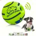 Sc25c8a302aa245b68abffa87bf82e6a3X.webp